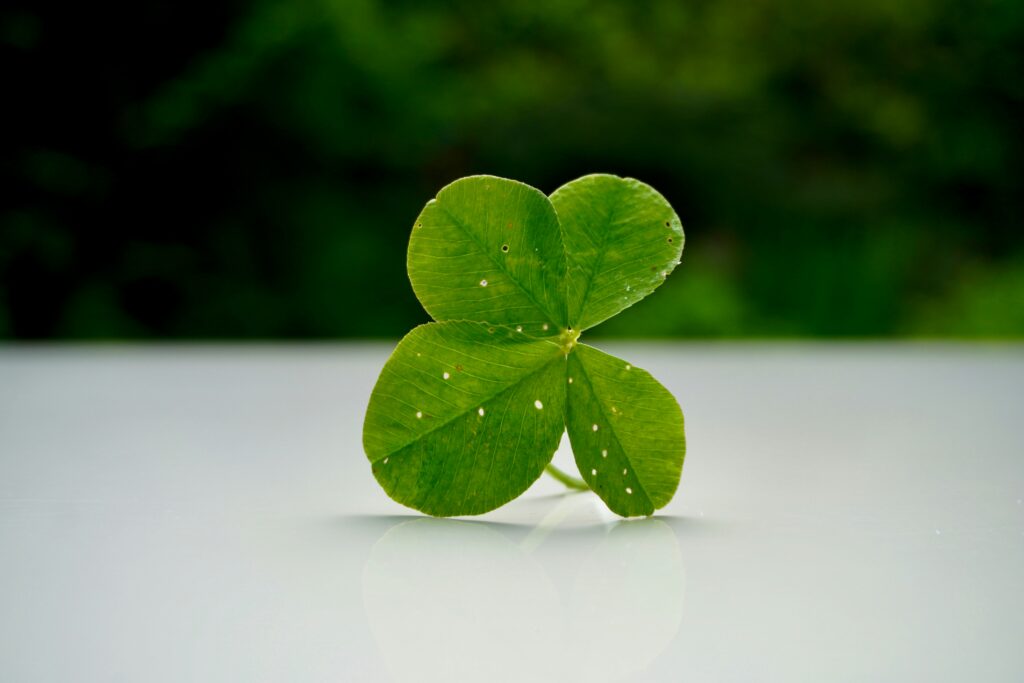 The Four Aspects of Chan Path