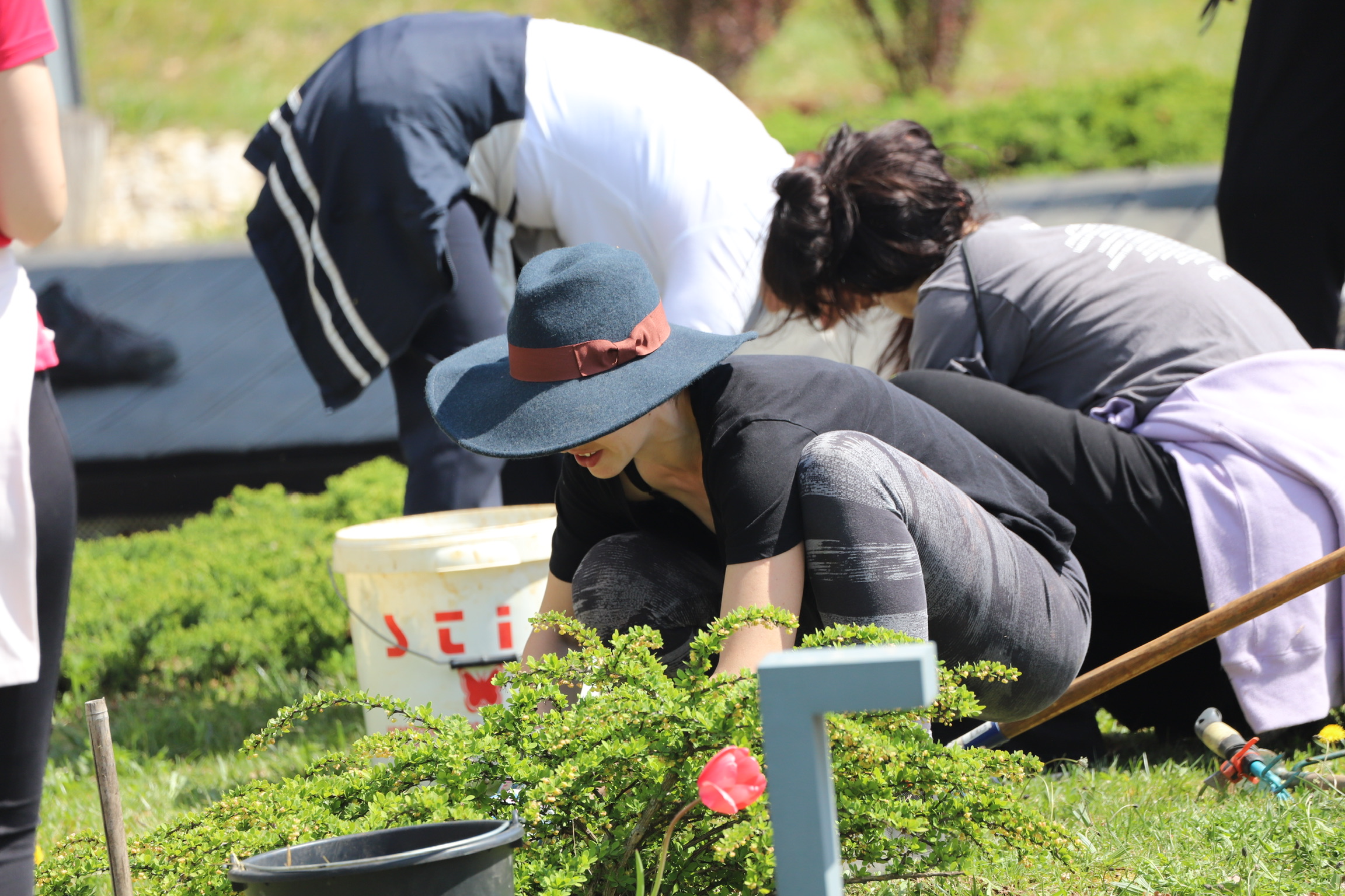 Moje iskustvo volontiranja na trodnevnom meditacijskom povlačenju